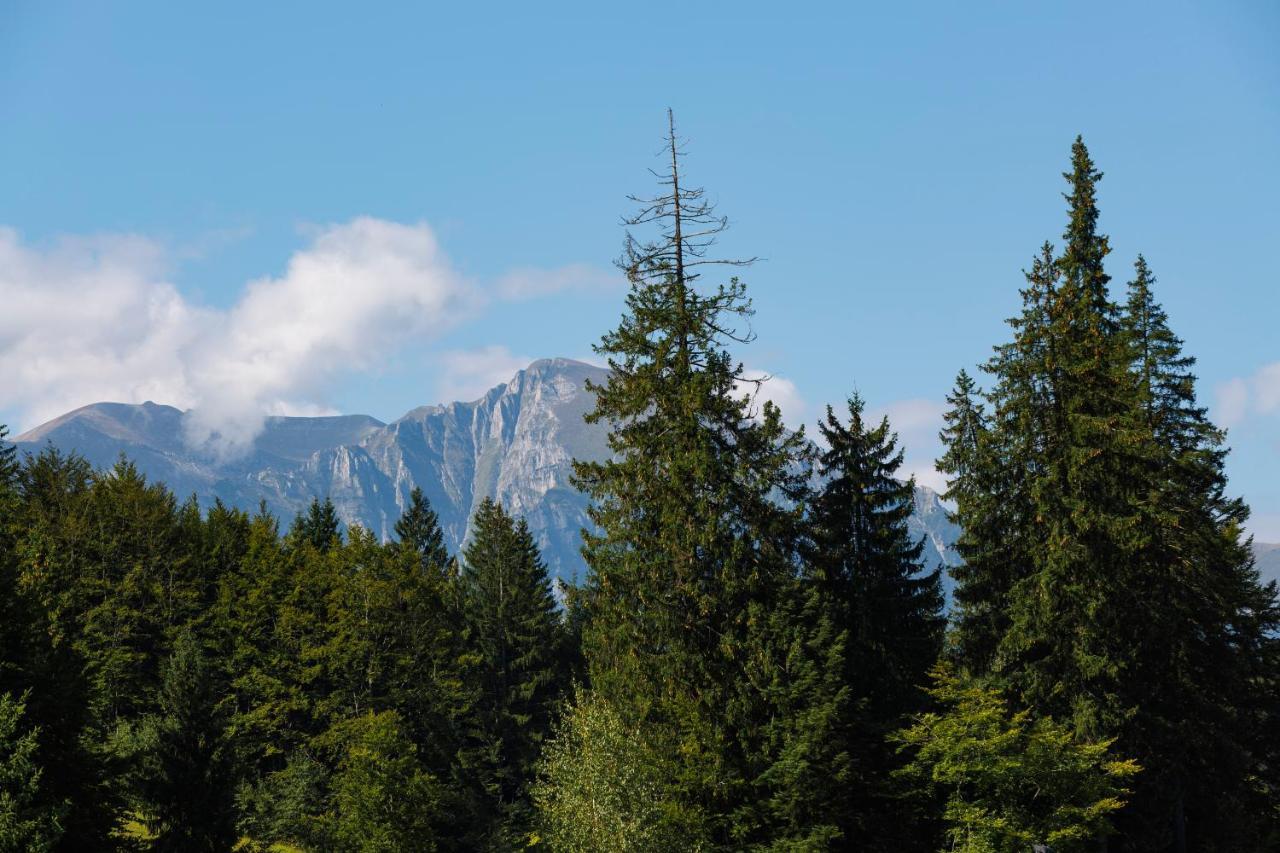 Manor Ski Hotel Predeal Zewnętrze zdjęcie