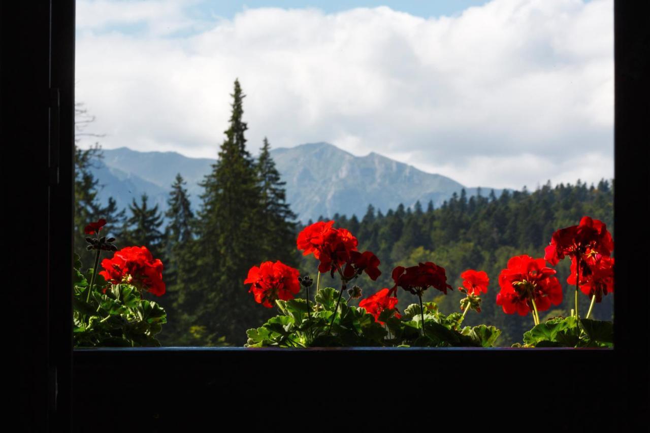 Manor Ski Hotel Predeal Zewnętrze zdjęcie